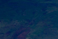 autumn-colours-final-detail