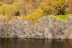 autumn-colours-final