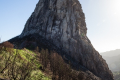 roque-1