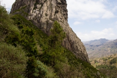 Roque Agonda