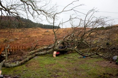 storm-1