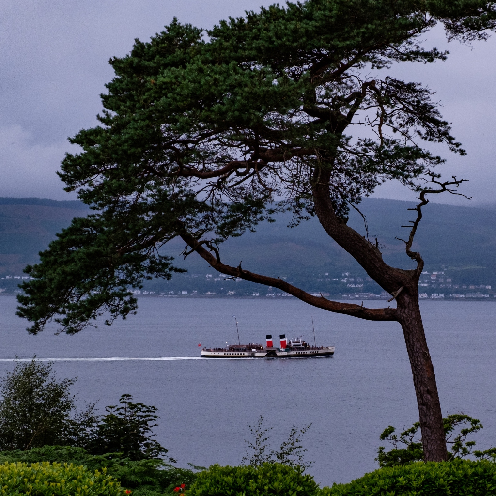 The PS Waverley sailing by