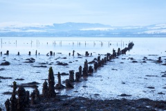timber-ponds-in-the-clyde-1