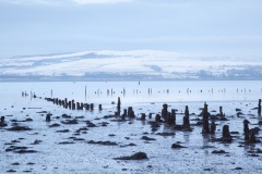 timber-ponds-in-the-clyde-2