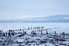 timber-ponds-in-the-clyde-3