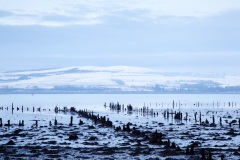 timber-ponds-in-the-clyde-4