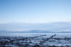 timber-ponds-in-the-clyde-6