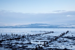timber-ponds-in-the-clyde-7