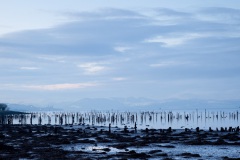 timber-ponds-in-the-clyde-8