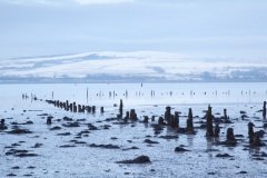 timber-ponds-in-the-clyde-2