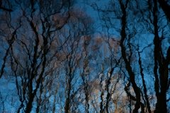 upside-down-2